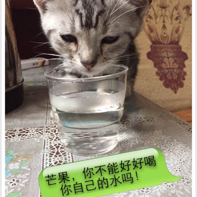 单位房改房如何办理不动产证